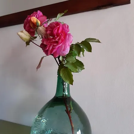 بيت للعطل Quinta De Almiares كانديليدا