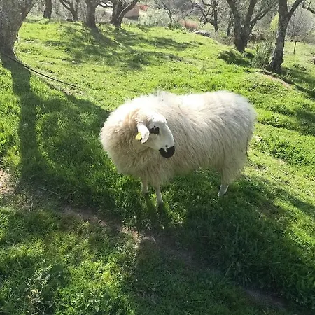 Quinta De Almiares * كانديليدا