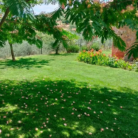 Quinta De Almiares