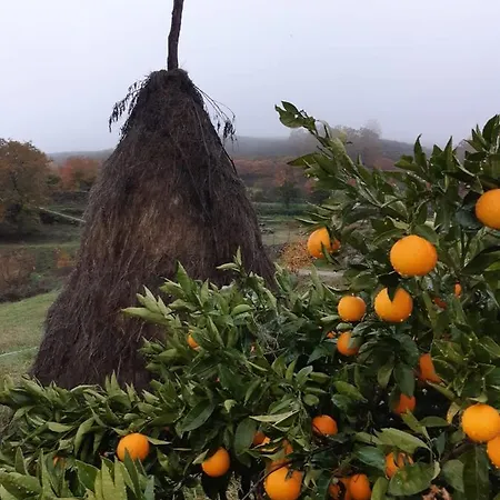 Quinta De Almiares بيت للعطل *