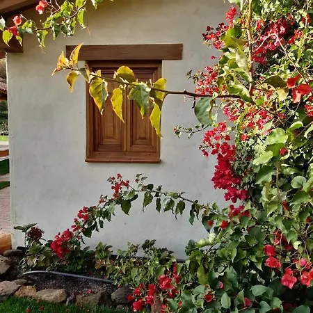 Quinta De Almiares Hébergement de vacances