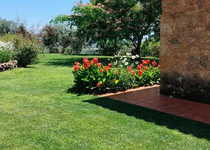 Quinta De Almiares Holiday home