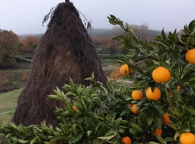 Quinta De Almiares Holiday home *