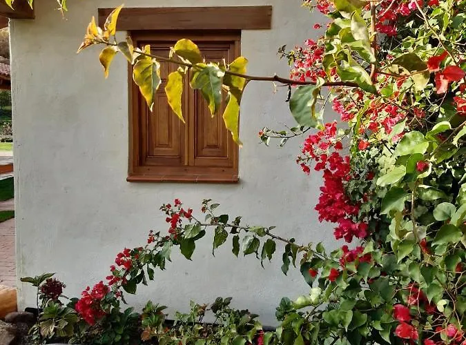 Quinta De Almiares Holiday home